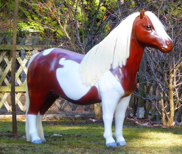 Pony, Shetland, "Charming", 162cm, belastbar bis 100kg, HAEIGEMO, HORSE, PFERD