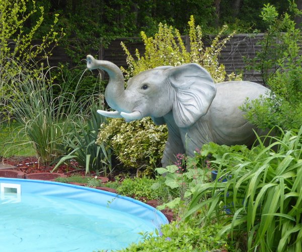 Elefant, "Jamis", mit Saugschlauch, 182cm
