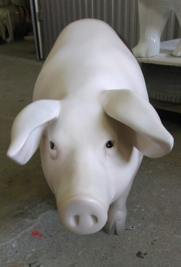Schwein, "Roswitha", 152cm