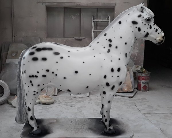 Shetland Pony, "Oskar", 162cm, ohne Kunsthaare, belastbar bis 100kg, HAEIGEMO, HORSE, PFERD