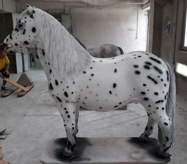 Shetland Pony, "Oskar", 162cm, ohne Kunsthaare, belastbar bis 100kg, HAEIGEMO, HORSE, PFERD