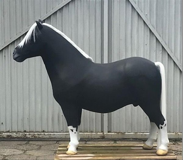 Shetland Pony, "Billy", 162cm, belastbar bis 100kg, Kunsthaare, HAEIGEMO, HORSE, PFERD