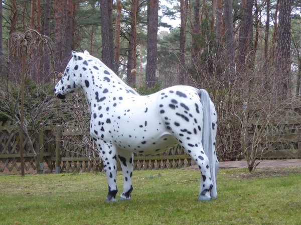 Shetland Pony, "Oskar", 162cm, belastbar bis 100kg, Kunsthaare, HAEIGEMO, HORSE, PFERD