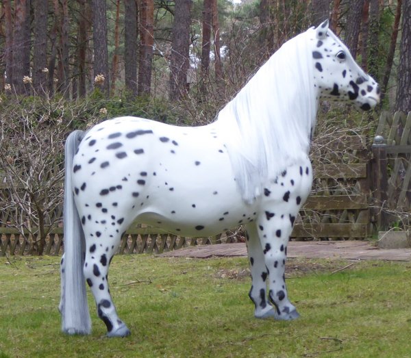 Shetland Pony, "Oskar", 162cm, belastbar bis 100kg, Kunsthaare, HAEIGEMO, HORSE, PFERD