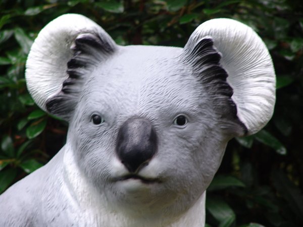Koala, Koalabär, 82cm mit Kunstharz