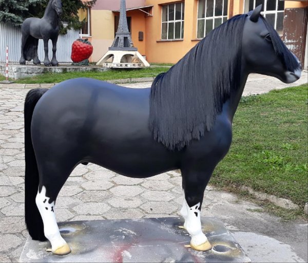 Pony, Shetland, "Aurelio",160cm mit Kunsthaare, belastbar bis 100kg, HAEIGEMO, HORSE, PFERD