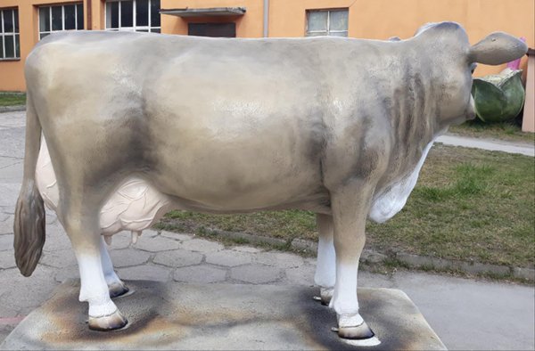 Kuh, "Wally von der Alm", Braunvieh, ohne Horn, 220cm, HAEIGEMO