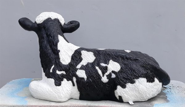 Kalb,  liegend, "Tanja", schwarz weiss, mit Glasfaser, 90cm, HAEIGEMO
