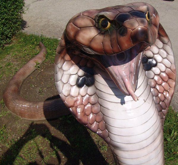 Schlange, Cobra, "Karlchen", 300cm