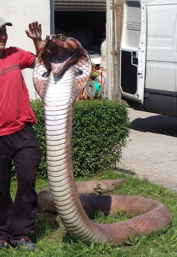 Schlange, Cobra, "Karlchen", 300cm