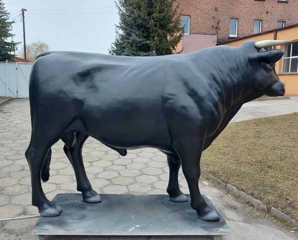 Holstein Bulle, "Albero", mit Horn, 280cm, HAEIGEMO