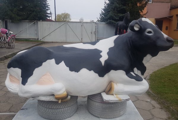 Kuh, liegend, " Klara von der Alm", , hornlos, schwarz weiß, 225cm, HAEIGEMO