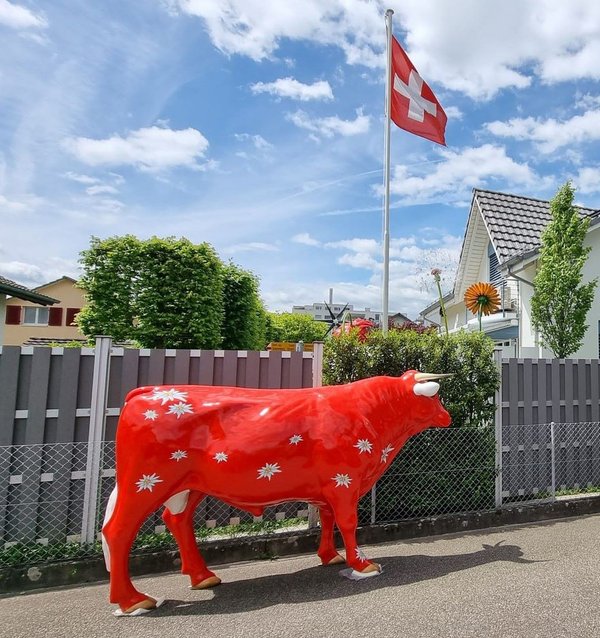 Edelweiß Holstein Stier, "Reto",  "Schweizer Art", 280cm, HAEIGEMO