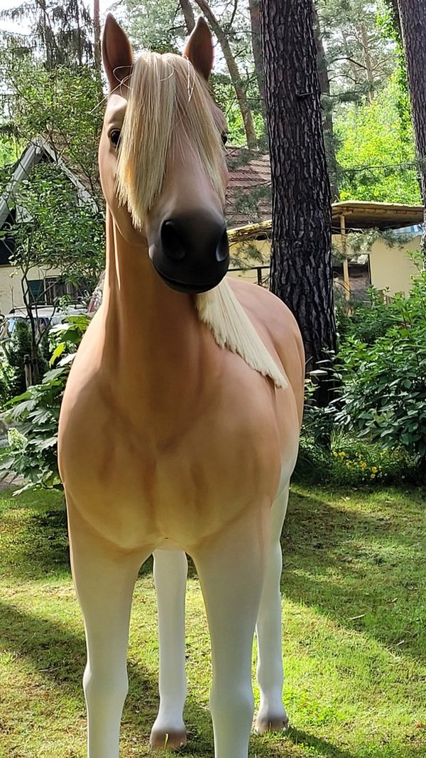 Pferd, "Haflinger Art", Stute, Kunsthaare, belastbar, 259cm, Horse, HAEIGEMO