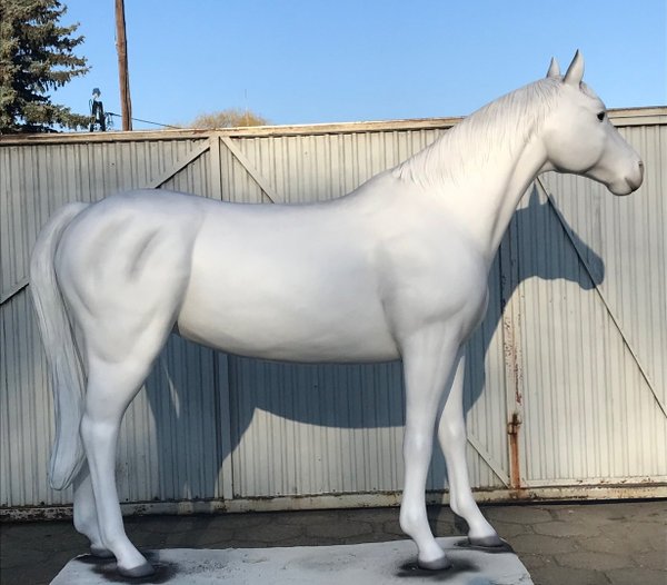 Pferd, "Adda", Stute, nicht belastbar, 259cm, HAEIGEMO