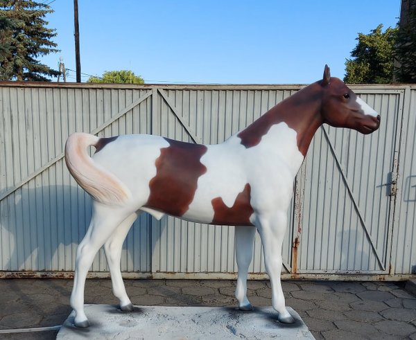 Pferd, "Rocky", braun weiß, nicht belastbar, 230cm,