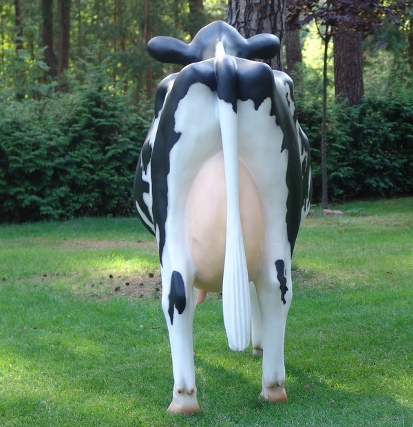 Holstein Kuh, "Agnesia", schwarz weiß, Kopf gerade aus, 270cm, HAEIGEMO