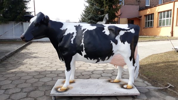 Holstein Kuh, "Agnesia", schwarz weiß, Kopf nach links schauend, 270cm, HAEIGEMO
