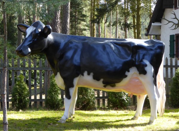 Holstein Kuh "Adelchen", Kopf linksschauend, 270cm 