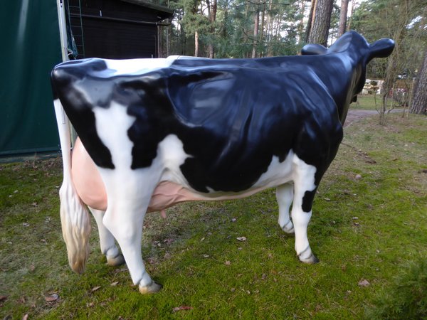 Holstein Kuh "Adelchen", Kopf links schauend, 270cm, HAEIGEMO