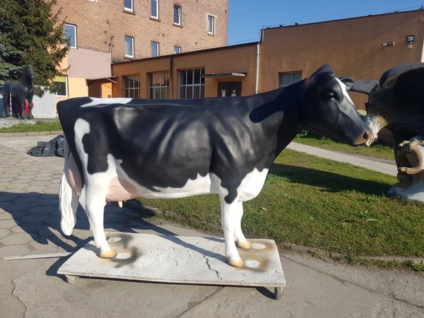 Holstein Kuh "Adelchen", Kopf nach rechts schauend, 270cm, HAEIGEMO