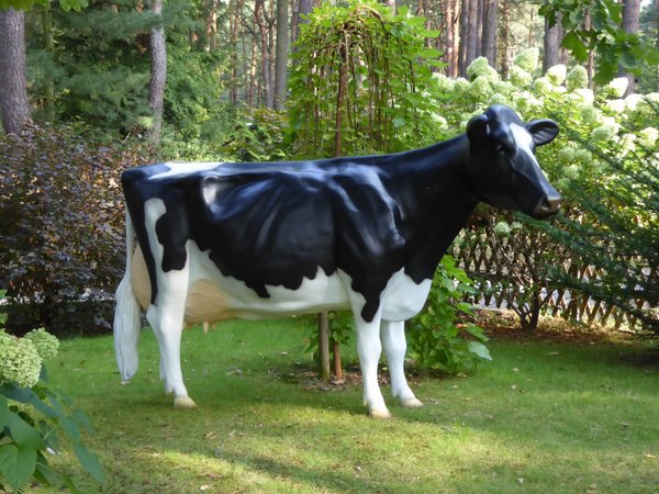 Holstein Kuh "Adelchen", Kopf nach rechts schauend, 270cm, HAEIGEMO