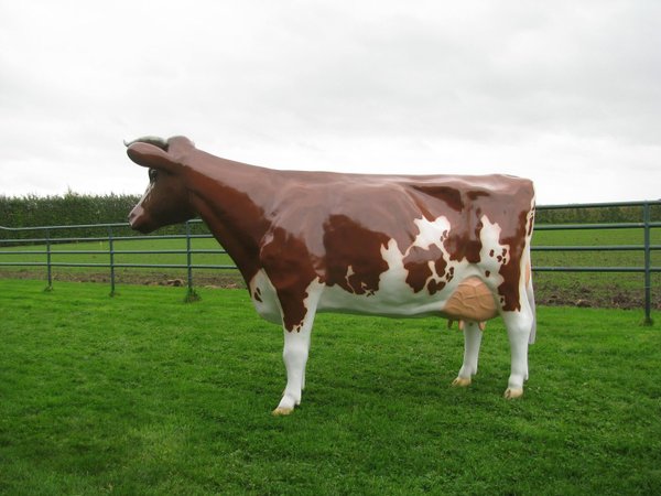 Holstein Kuh "Anna Lena", Kopf nach rechts schauend, 270cm, HAEIGEMO