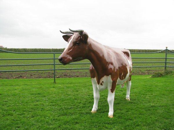 Holstein Kuh "Anna Lena", Kopf nach rechts schauend, 270cm, HAEIGEMO