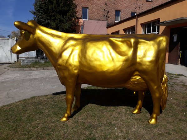 Holstein Kuh "goldfarben lackiert", Kopf gerade aus schauend, 270cm, HAEIGEMO