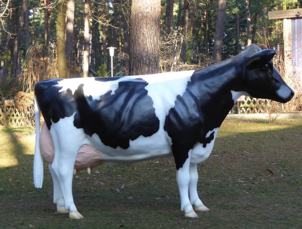 Holstein Kuh, "Teresia", schwarz weiß, Kopf gerade aus, 270cm, HAEIGEMO