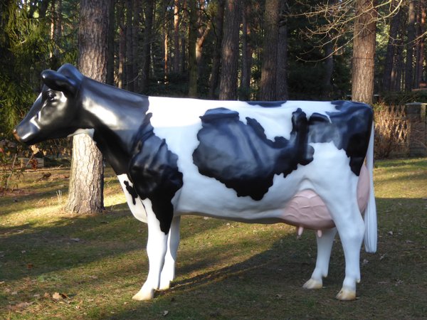Holstein Kuh, "Teresia", schwarz weiß, Kopf gerade aus, 270cm, HAEIGEMO
