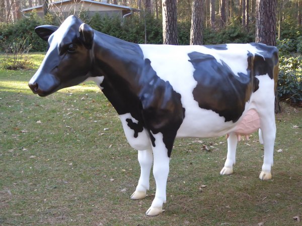 Kuh, Holstein, "Teresia", schwarz weiß, Kopf gerade aus, 270cm, HAEIGEMO