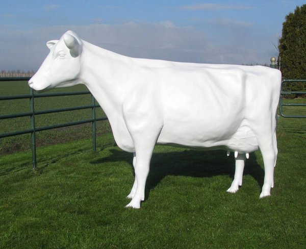 Kuh, Holstein, "Agnetha", weiß, Kopf gerade aus, 270cm, HAEIGEMO