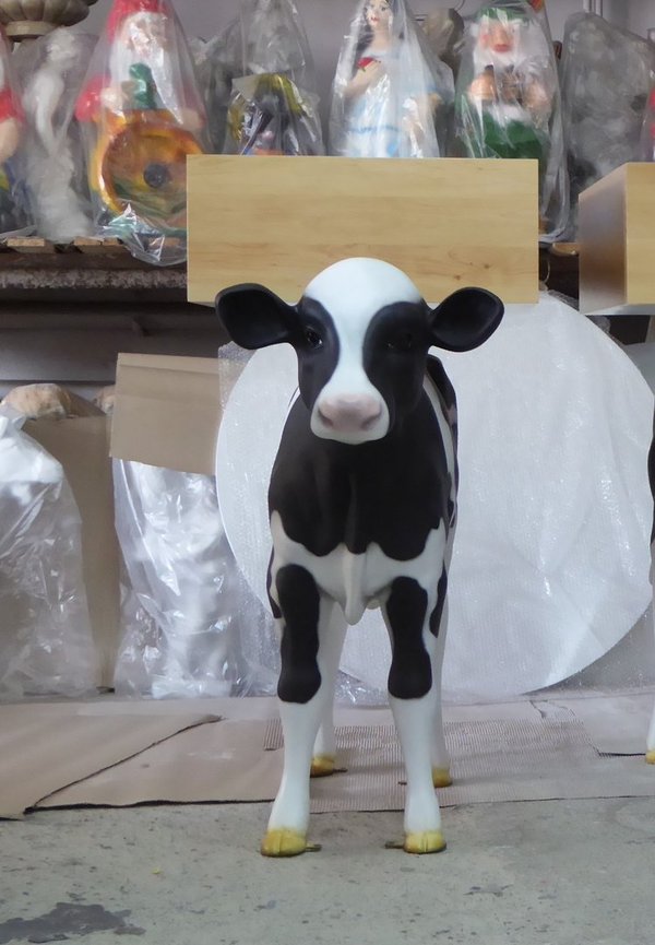 Kalb, Holstein Kälbchen lebensgroß,  "Flecki", 128cm, schwarz weiß, als Wühltisch, 122cm, HAEIGEMO