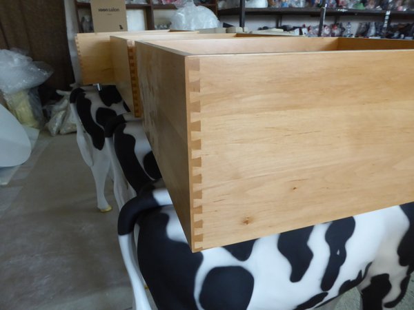 Kalb, Holstein  "Flecki", 128cm, schwarz weiß, als Wühltisch, 122cm, HAEIGEMO