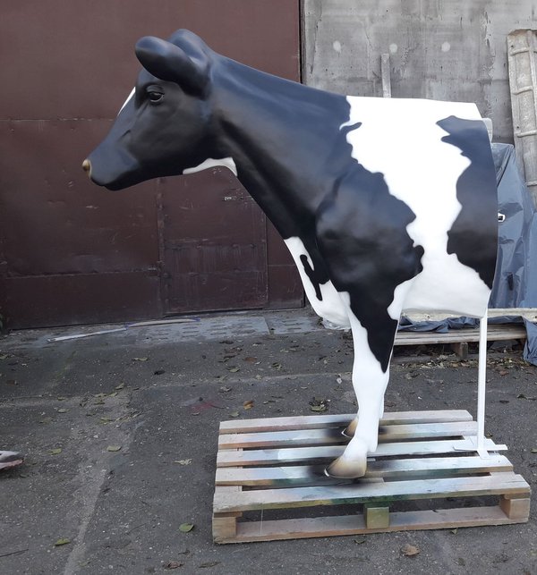 Holstein Kuh "halbiert", Kopf gerade aus schauend, 270cm, HAEIGEMO