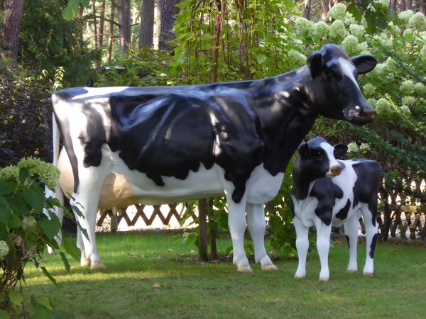 Holstein Kuh "Adelchen", Kopf nach rechts, 270cm mit Kalb "Fea", Kopf links, HAEIGEMO