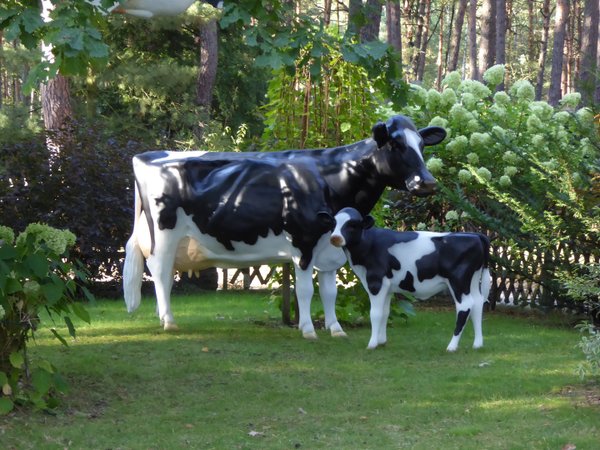 Holstein Kuh "Adelchen", Kopf nach rechts, 270cm mit Kalb "Fea", Kopf links, HAEIGEMO