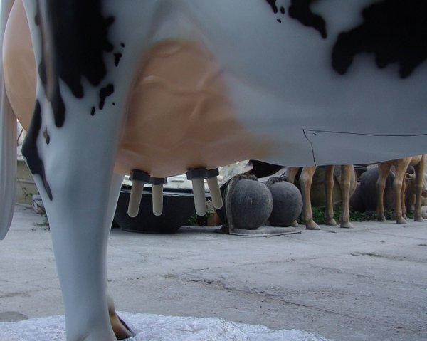 Kuh, Melkkuh, Holstein, "Adelchen", 1 x 19L Tank,  Kopf rechts und Kalb "Flecki", 270cm, HAEIGEMO