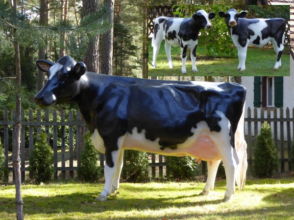Holstein Kuh "Adelchen", Kopf links, 270cm mit Kalb "Fea" und Kalb "Flecki", HAEIGEMO