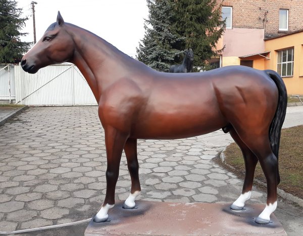 Pferd, "Bandito", nicht belastbar, 259cm, HAEIGEMO, Horse
