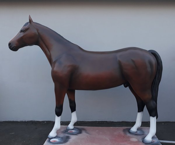 Pferd, "Attila", belastbar, 259cm, HAEIGEMO, Horse